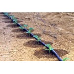 Капельне зрошування