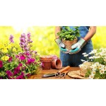 Для дома Для дома