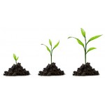 Регулятори росту