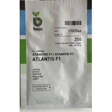 Атлантіс F1 250н Атлантіс F1 250н