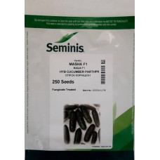 Огірок Маша F1 250н Огірок Маша F1 250н