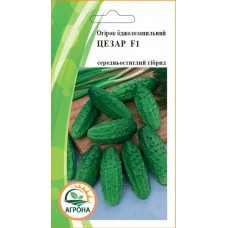 Огірок Цезар F1 0,5г