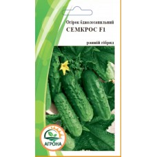 Огірок Семкрос F1 0,5г