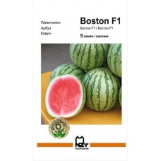 Кавун "Бостон" F1    5 н