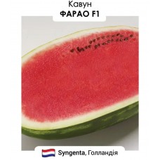Кавун Фарао F1    5 н