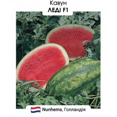 Кавун "Леді" F1  5 н