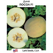 Диня Посол F1    5 н