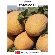 Диня Радміла F1  5 н