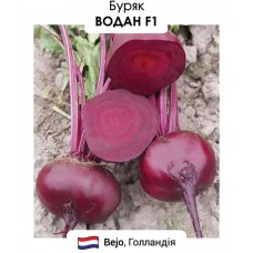 Буряк Водан F1 200н