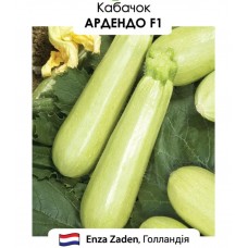 Кабачок Ардендо F1 5н