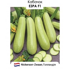 Кабачок  Езра F1  5н