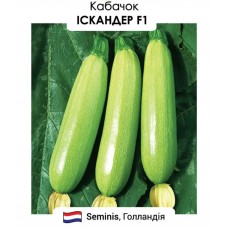 Кабачок Іскандер F1 5н