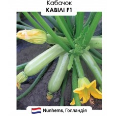 Кабачок Кавілі F1 5н
