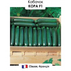 Кабачок Кора F1 5н