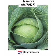 Капуста Амтрак F1 20н