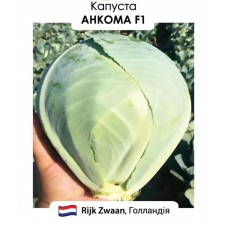 Капуста Анкома F1  20н
