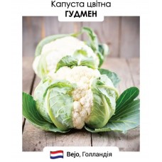 Капуста цвітна Гудмен 20н