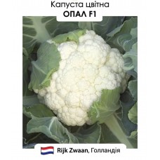 Капуста цвітна Опал F1  20н
