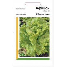 Салат Афіцион батавія Салат Афіцион батавія