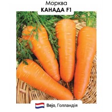 Морква Канада F1 400н