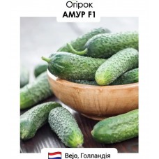 Огірок Амур F1 10Н