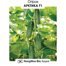 Огірок  Арктика F1  10н