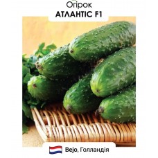 Атлантіс  F1  20н