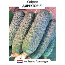 Огірок Директор F1 10н