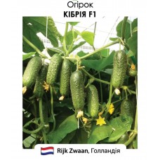 Огірок  Кібрія F1 10н