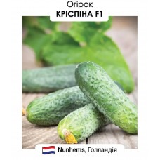 Огірок Кріспіна F1 10н