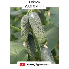 Огірок Лютояр F1 10н