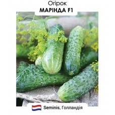 Огірок  Марінда F1 10н