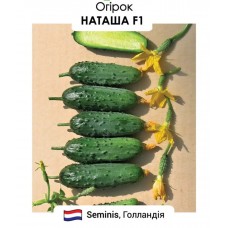 Наташа   F1   15н