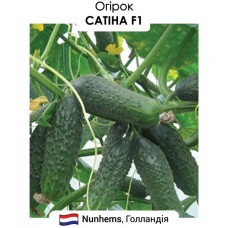 Огірок  Сатіна  F1 10н