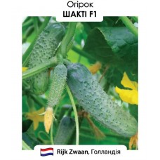 Огірок  Шакті F1  10н