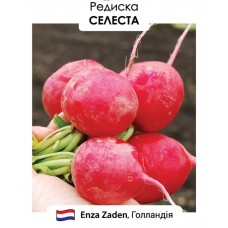 Редис  Селеста F1  3 гр