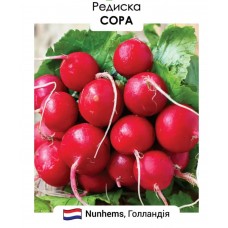 Редис Сора 10 гр