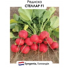 Редис Стеллар F1  200н