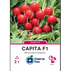 Редис  Саріта F1  2 гр