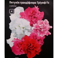 Петунія грандіфлора Тріумф F2