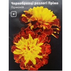 Чорнобривці розлогі Прімо