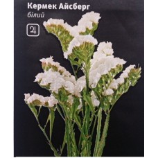 Кермек Айсберг (статиця)