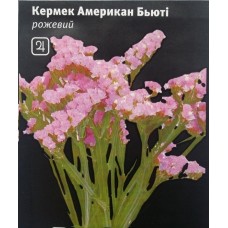 Кермек Американ Бьюті (статиця)