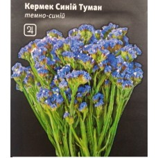 Кермек Синій Туман (статиця)