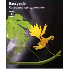 Настурція канаркові ліани, лімонна