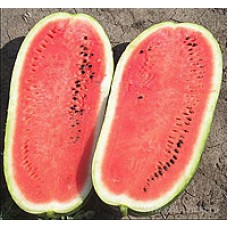 Кавун Чарльстон Грей  5 н