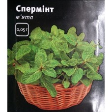 М'ята Спермінт М'ята Спермінт