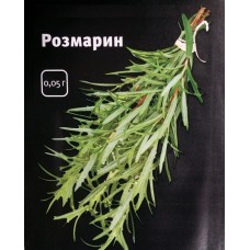 Розмарин Розмарин