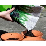 Грунтосуміш, кокос