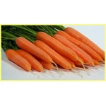 Морква евро